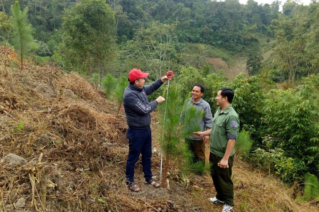 Quỹ bảo vệ và Phát triển rừng tỉnh Điện Biên