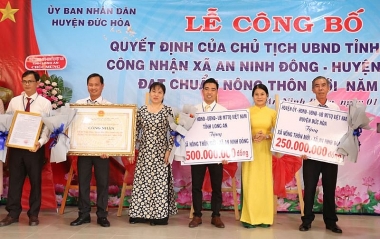 Giải pháp thúc đẩy thực hiện mục tiêu quốc gia xây dựng nông thôn mới tại huyện Đức Hòa, tỉnh Long An