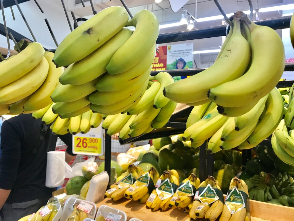 Hiệu quả xuất khẩu rau quả Việt Nam sang thị trường Nhật Bản