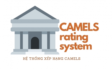 Đánh giá hiệu quả hoạt động của Tổ chức tài chính vi mô CEP qua mô hình CAMELS