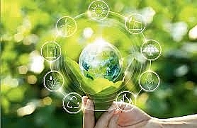 Tác động của FDI đến thúc đẩy tăng trưởng xanh và phát triển bền vững