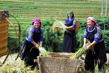 Giải pháp sử dụng tín dụng vi mô nhằm nâng cao hiệu quả xóa đói giảm nghèo tại Việt Nam