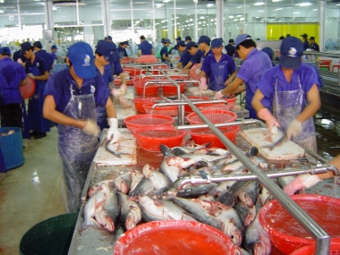 Gia hạn thời gian công bố thuế chống phá giá cá tra tại Mỹ