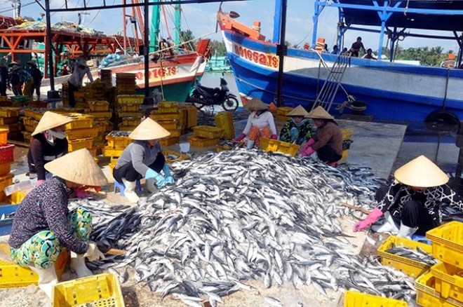 Giải quyết những thách thức của ngành thủy sản trong phát triển kinh tế biển, đảo