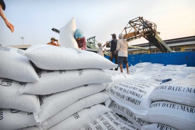 Gạo Việt phải "nâng chất" để mở rộng thị trường xuất khẩu