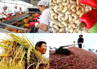 Làm cách nào để đẩy mạnh xuất khẩu nông sản Việt Nam?