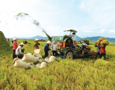 Nông nghiệp Việt Nam năm 2018: một năm nhìn lại