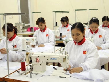 Đại sứ quán Nhật Bản tại Việt Nam cảnh báo nhiều chiêu trò lừa đảo người lao động