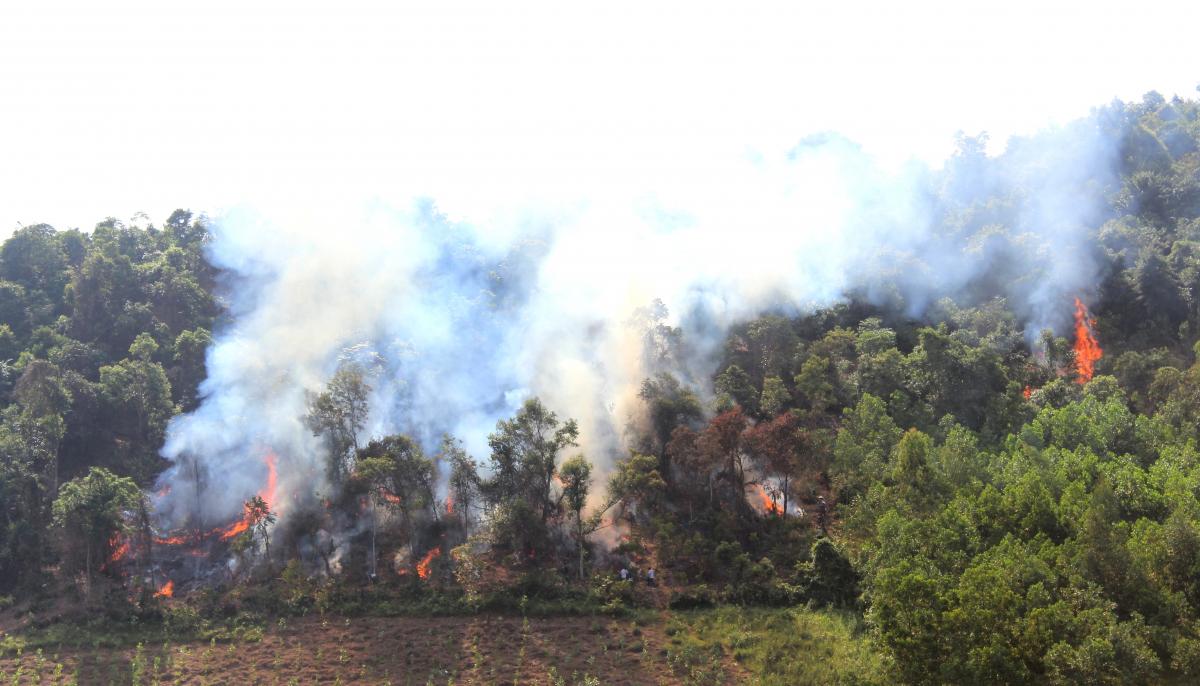 12 tỉnh, thành nằm trong mức độ cảnh báo cháy rừng cấp cực kỳ nguy hiểm