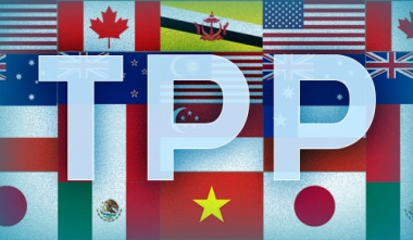 Hoàn thiện Tờ trình phê chuẩn Hiệp định TPP trước ngàv 20/4/2016