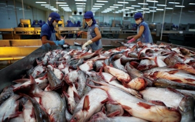 VASEP xem xét khởi kiện Hoa Kỳ trước thông tin bán phá giá cá tra