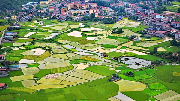 TP. Hà Nội: 99,21% đất nông nghiệp sau dồn điền đổi thửa được cấp giấy chứng nhận