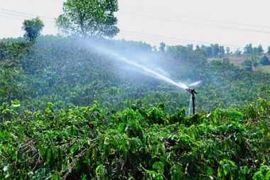 Việt Nam hướng tới mô hình sản xuất cà phê cần ít nước tưới