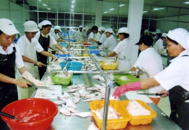 EU cảnh báo thủy sản có kháng sinh, cá chết bất thường của Việt Nam