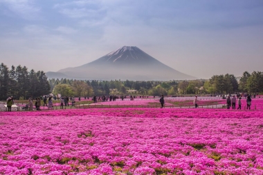 15 lý do tại sao bạn nên ghé thăm Nhật Bản