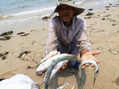 Formosa - Thủ phạm gây ra vụ cá chết hàng loạt tại 4 tỉnh miền Trung