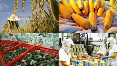 5 tháng đầu năm 2020, xuất khẩu nông, lâm, thủy sản ước đạt gần 15,5 tỷ USD