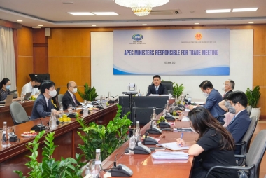 Bộ trưởng Nguyễn Hồng Diên: Việt Nam ủng hộ hợp tác trong APEC nhằm có vắc-xin kịp thời, hiệu quả
