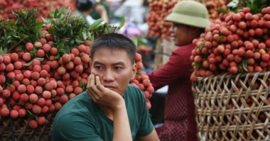 Bao giờ nông sản Việt thoát bóng Trung Quốc?