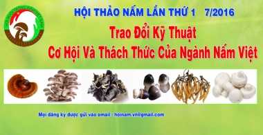 Hội thảo “Trao đổi kỹ thuật, cơ hội và thách thức của ngành nấm Việt” tại Lâm Đồng