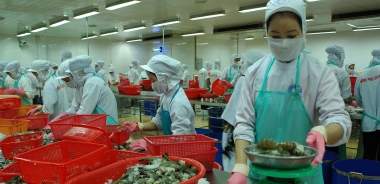 Việt Nam và Hoa Kỳ ký thỏa thuận về chống bán phá giá tôm