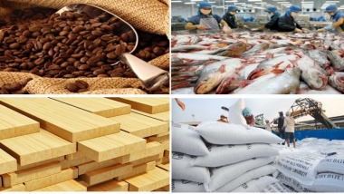 Kim ngạch xuất khẩu nông lâm thuỷ sản 6 tháng đầu năm 2018 đạt 19,4 tỷ USD