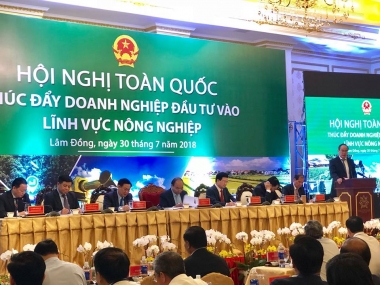 Chung sức đưa Việt Nam vươn lên vị trí hàng đầu thế giới về nông sản