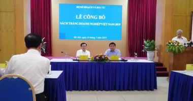 Công bố Sách trắng doanh nghiệp Việt Nam 2019