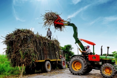 Thủ tướng ban hành chỉ thị nhằm phát triển ngành mía đường