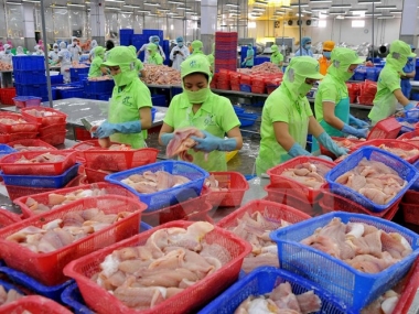 Thấy gì từ việc EU sẽ thanh tra toàn diện thủy sản nuôi của Việt Nam từ năm 2017