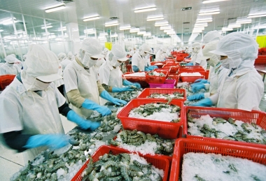 Hoa Kỳ hủy bỏ một phần rà soát thuế chống bán phá giá đối với một số sản phẩm tôm của Việt Nam