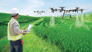 Ứng dụng công nghệ drone hiệu quả trong nông nghiệp