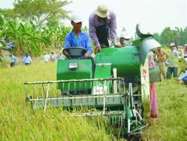 THT Máy gặt đập liên hợp xã Phú Điền góp phần cơ khí hóa nông nghiệp huyện Tháp Mười