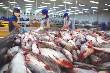 Quý IV/2016, xuất khẩu cá tra sang ASEAN tăng cao nhất 10%