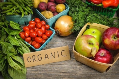 Hiểu thế nào cho đúng về thực phẩm Organic
