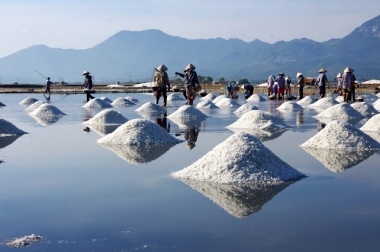 Đến năm 2030, tổng diện tích sản xuất muối 14.244 ha