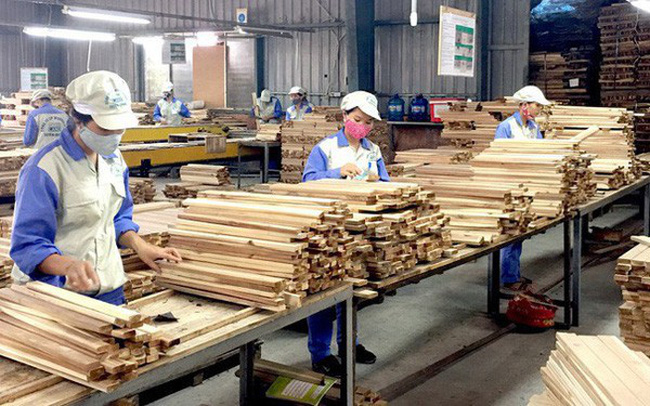 Phân loại cụ thể doanh nghiệp chế biến và xuất khẩu gỗ
