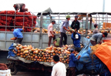 Doanh nghiệp Việt còn yếu năng lực xuất khẩu