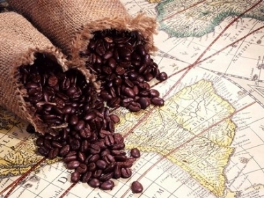 Giá cà phê tăng trở lại do Conab hạ ước tính sản lượng cà phê Brazil