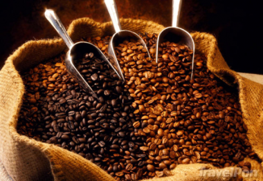 Dự báo xu thế giá cà phê trong những tháng cuối năm 2015