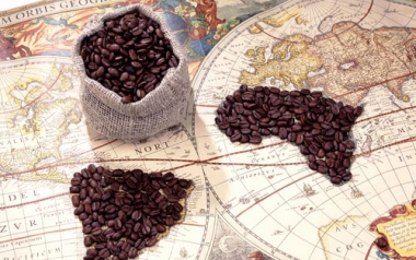 TPP và những tác động  đối với ngành hàng cà phê Việt Nam