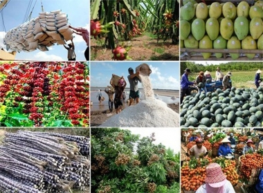 Xuất khẩu nông, lâm, thuỷ sản đạt gần 30 tỷ USD