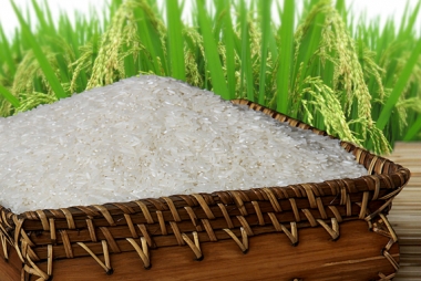 Giá gạo tại Việt Nam tăng do nguồn cung khan hiếm