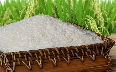 Cảnh báo xuất khẩu gạo sang Mỹ bị trả về