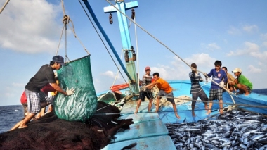 Xử lý dứt điểm các vướng mắc trong triển khai chính sách phát triển thủy sản