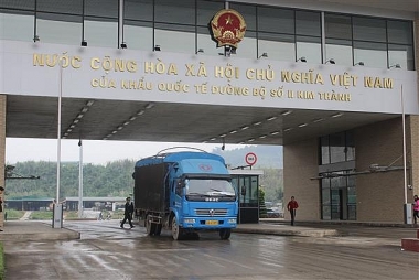 Trung Quốc khôi phục nhập khẩu trái cây tươi, hàng đông lạnh qua Cửa khẩu Kim Thành II, Lào Cai