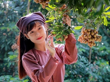 Sự kiện quy mô quốc tế kết nối tiêu thụ nhãn và nông sản tỉnh Hưng Yên