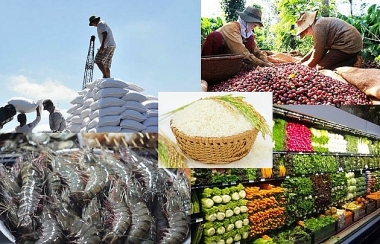 Thúc đẩy xuất khẩu nông sản Việt Nam trong bối cảnh Covid-19