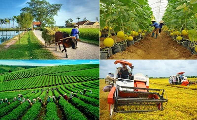 Phát triển nông nghiệp bền vững, thích ứng với biến đổi khí hậu