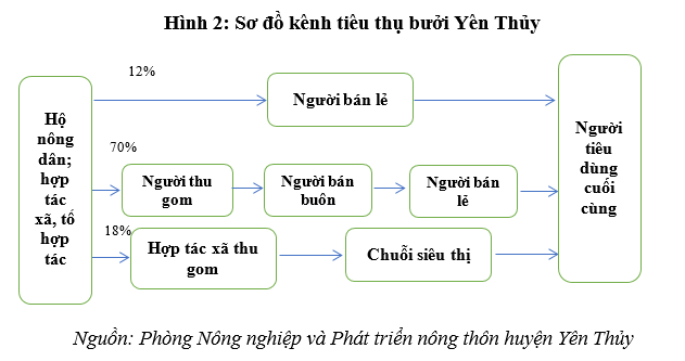 Vai trò của liên kết trong sản xuất nông nghiệp - Nhìn từ mô hình phát triển cây bưởi ở huyện Yên Thủy, tỉnh Hòa Bình